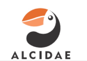 海雀科技 logo