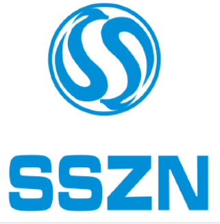 深圳市深视智能科技有限公司 logo