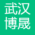 武汉博晟安全 logo