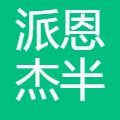 杭州派恩杰 logo