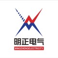 明正集团 logo