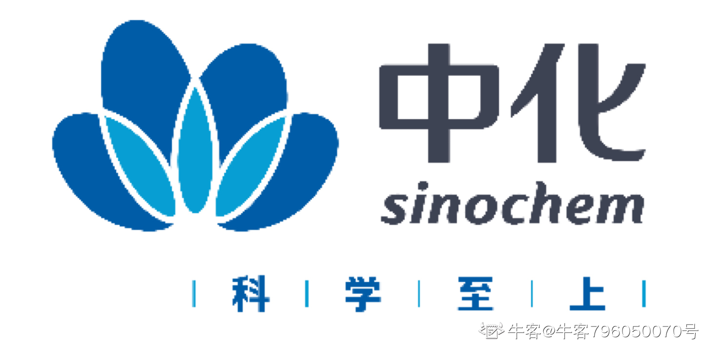 中化商务有限公司 logo