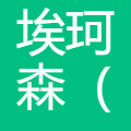 埃珂森 logo
