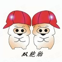双胞胎(集团) logo