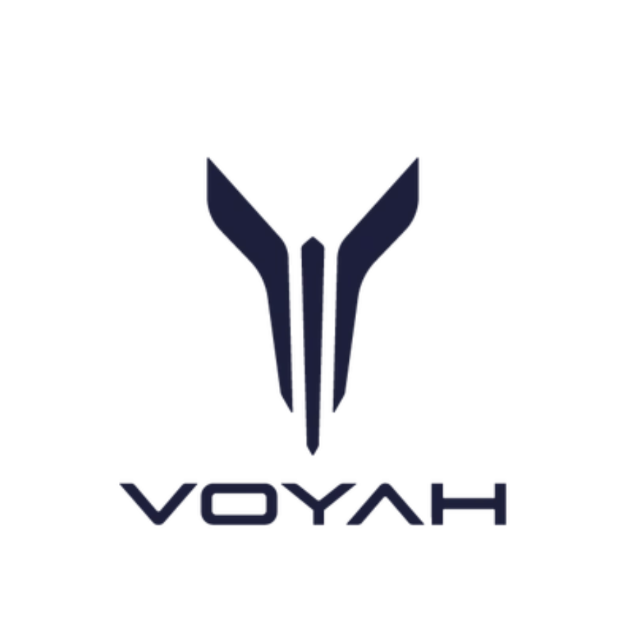 岚图汽车科技有限公司 logo