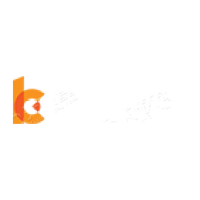 杭州碧橙数字技术股份有限公司 logo