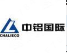 中铝国际工程股份有限公司 logo