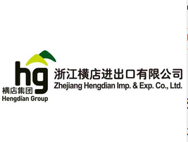 浙江横店进出口有限公司 logo