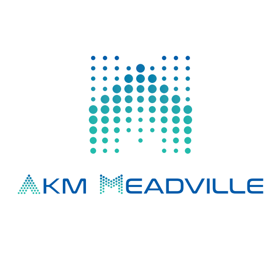 安捷利美维电子（厦门）有限责任公司 logo