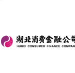 湖北消费金融公司 logo