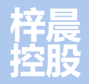 浙江梓晨控股集团有限公司 logo