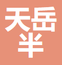 上海天岳半导体材料有限公司 logo