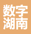 数字湖南有限公司 logo