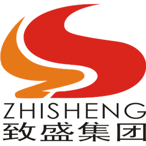 ZS致盛咨询 logo