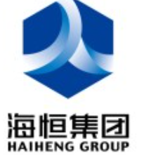 合肥海恒控股集团有限公司 logo