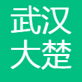 武汉大楚车联物联网络科技 logo