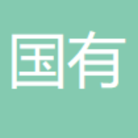 沈阳国有控股集团有限公司 logo
