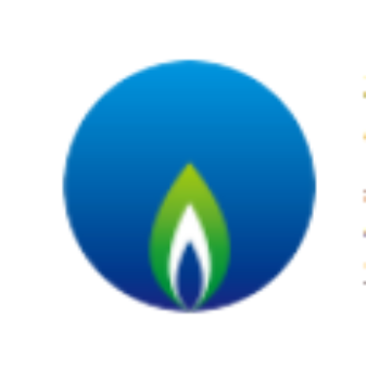 深圳燃气 logo