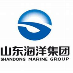 山东海洋集团有限公司 logo