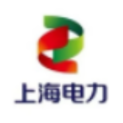 上海电力股份有限公司 logo