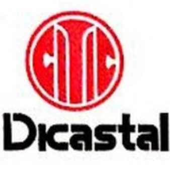 中信戴卡宁波轮毂制造有限公司 logo
