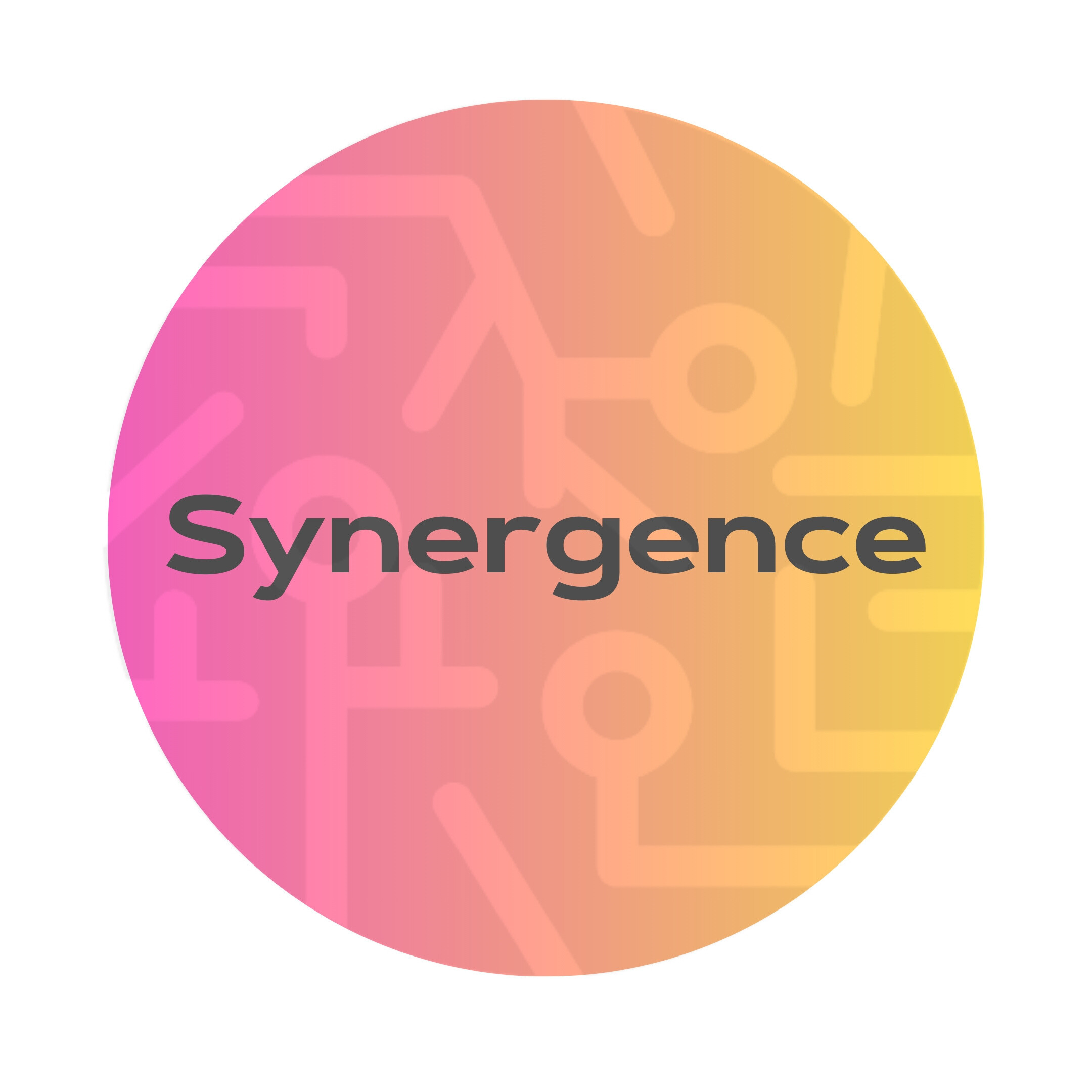 新智体 logo