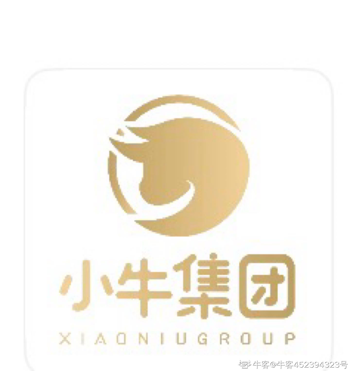 上海潇牛信息科技有限公司 logo