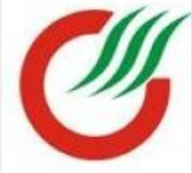 广晟控股集团 logo