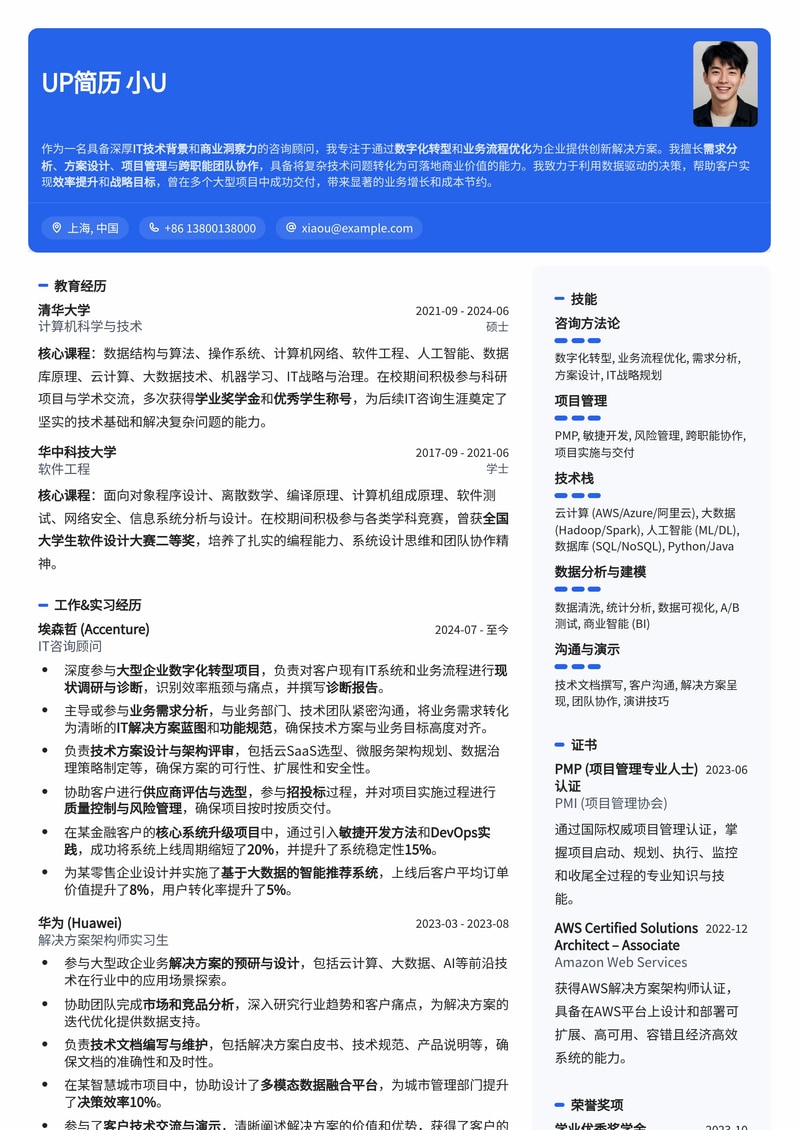 985名校专属：IT咨询顾问金牌简历模板