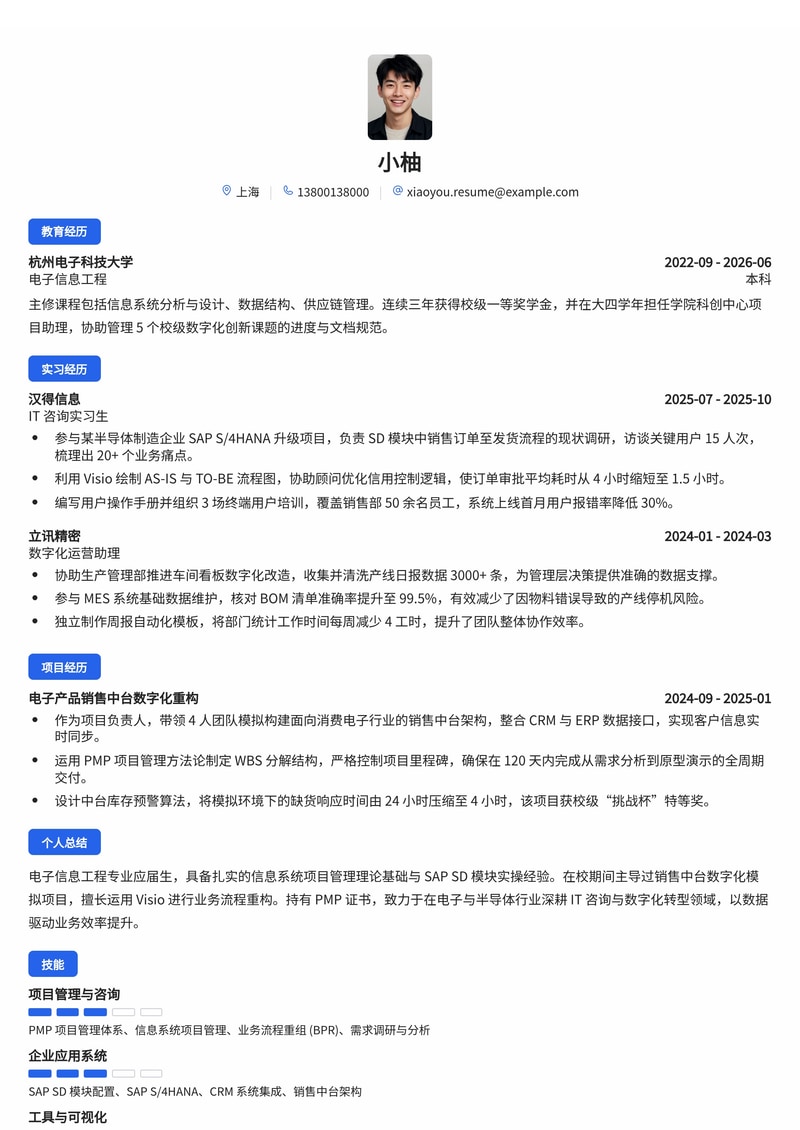 IT咨询与数字化项目管理简历模板(电子/半导体/专业服务校招)简历模板预览