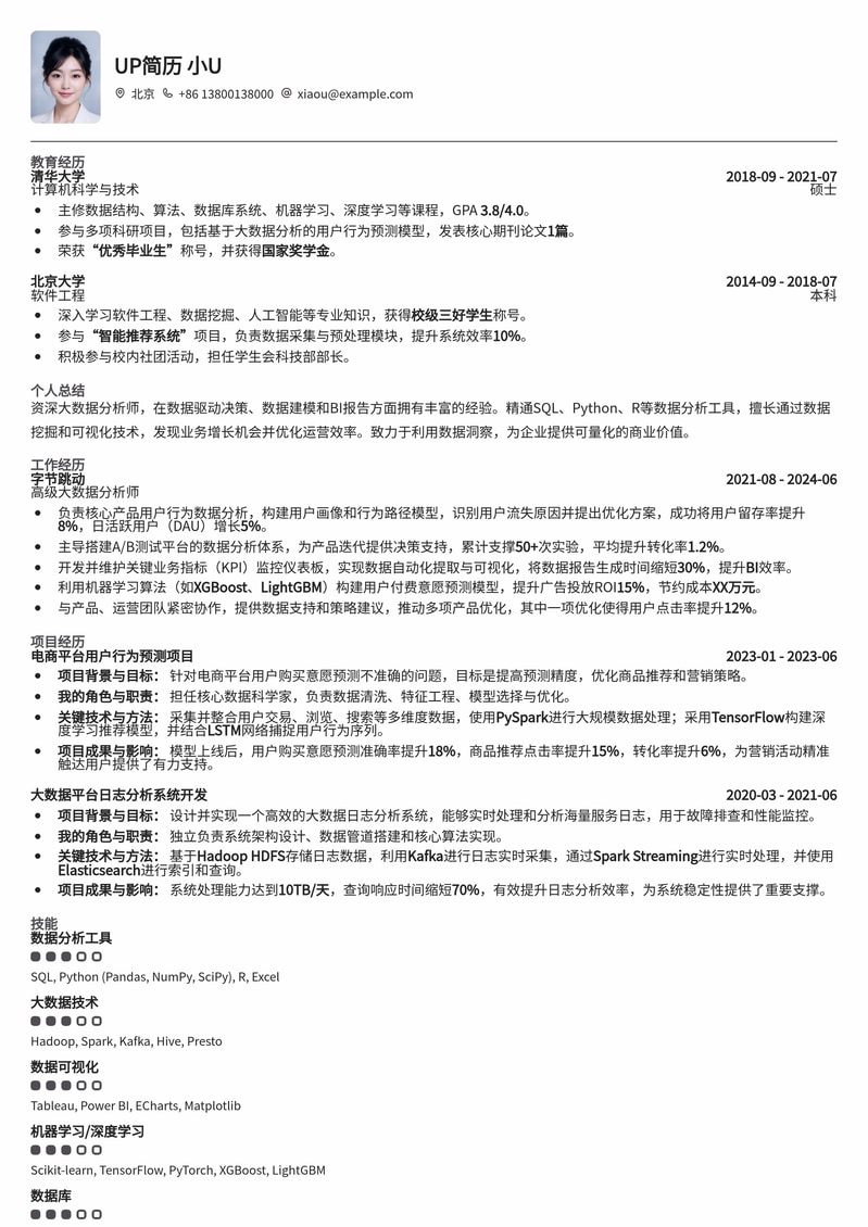 制胜职场：大数据分析师高薪求职简历模板简历模板预览