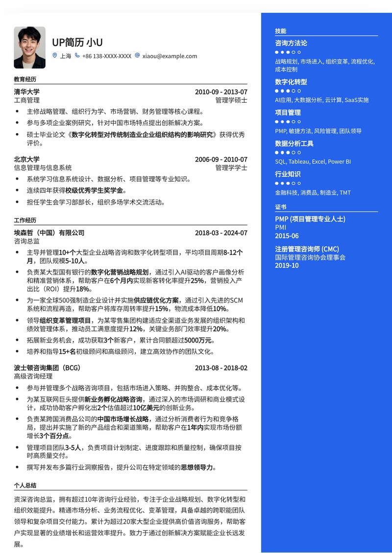 咨询总监精英简历模板：助您洞悉行业，引领变革简历模板预览